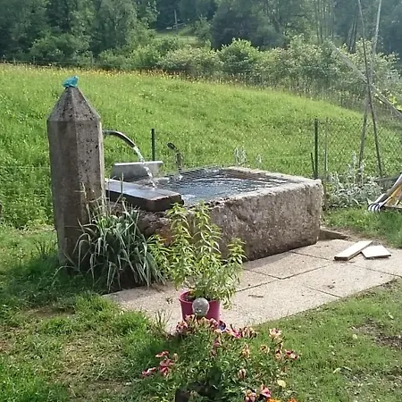 Ferme Familiale Chez Lili *