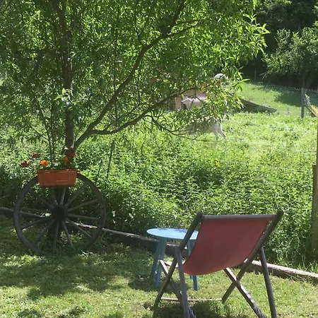Ferme Familiale Chez Lili *
